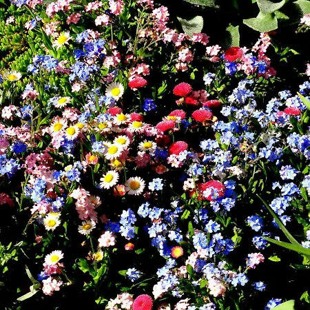 Hotel Aleksievata Kashta Gurgulyat