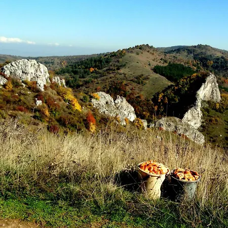 Hotel Aleksievata Kashta
