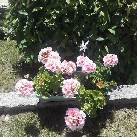 Aleksievata Kashta Hotel 3*