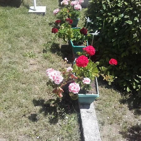 Aleksievata Kashta 3* Gurgulyat